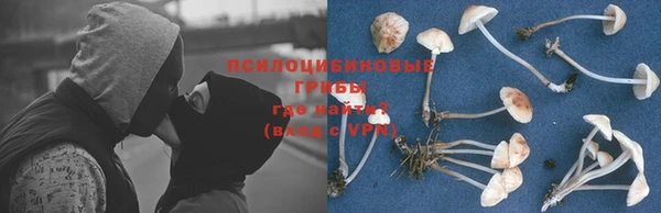 спайс Алексин