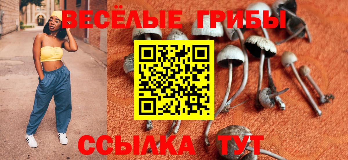 Апатиты  Псилоцибиновые грибы мухоморы  Вход с VPN  Галлюциногенные грибы GOLDEN TEACHER 