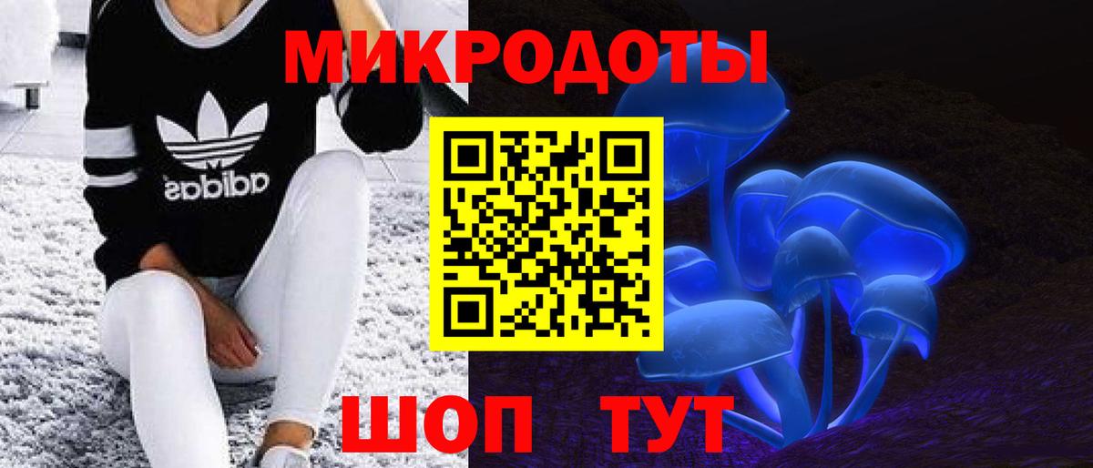 Псилоцибиновые грибы ЛСД Апатиты
